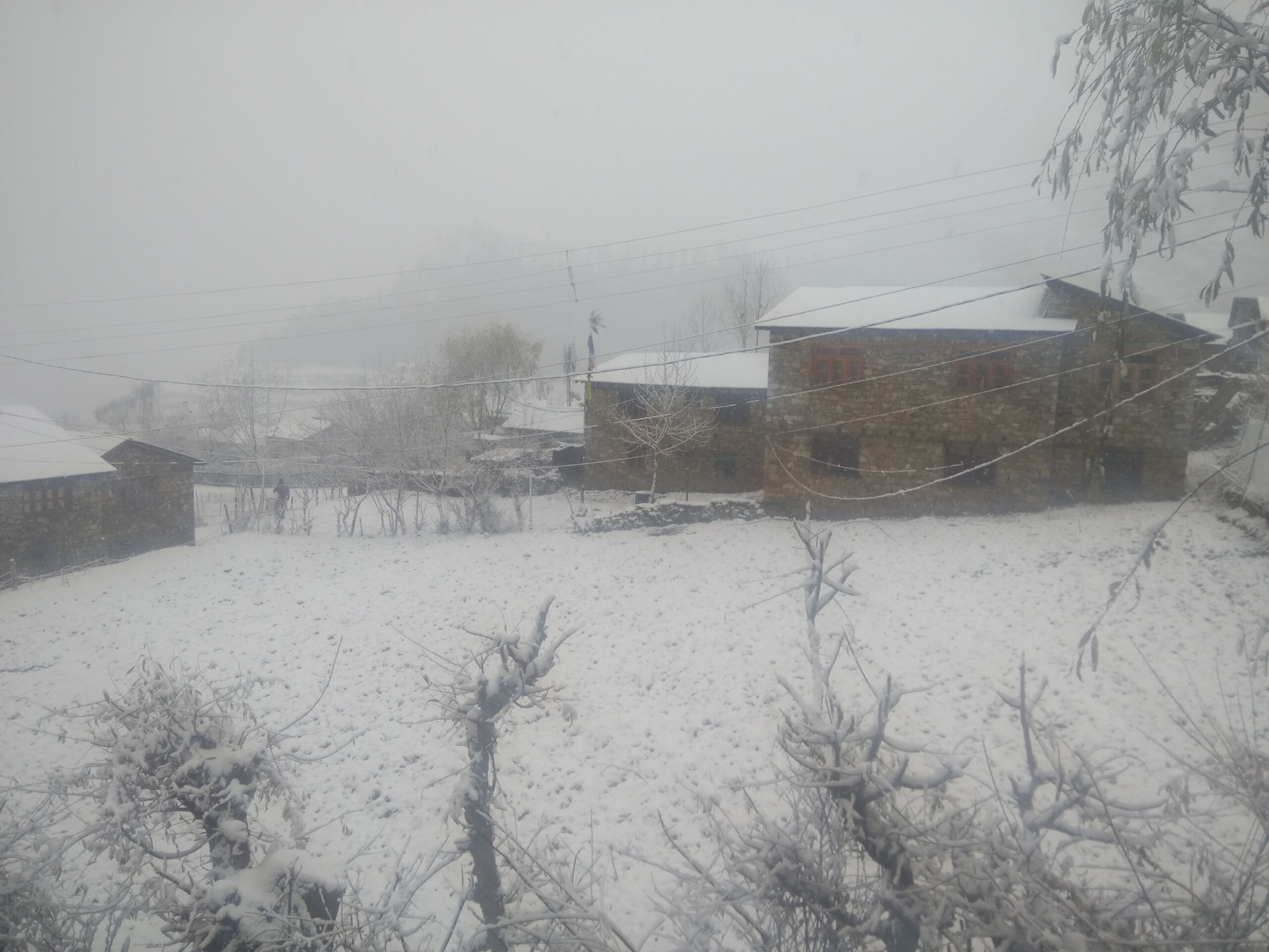 हुम्लामा फेरि हिमपात, हवाई सेवा अवरुद्ध, जनजीवन प्रभावित