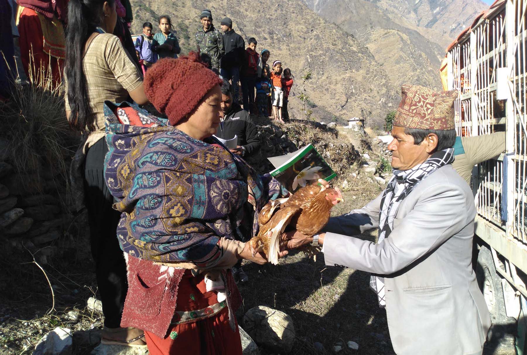 गर्भवतीलाई कुखुरा