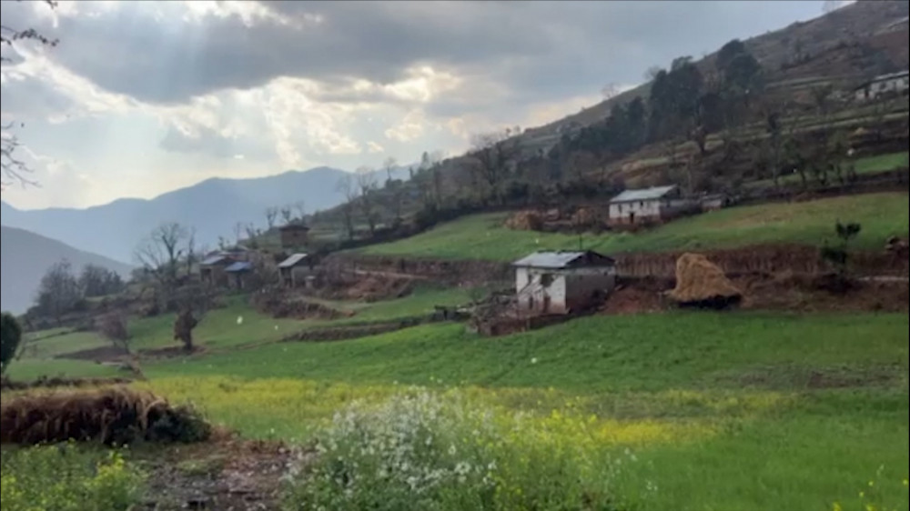 वर्षासँगै जाजरकोटका किसान खुशी